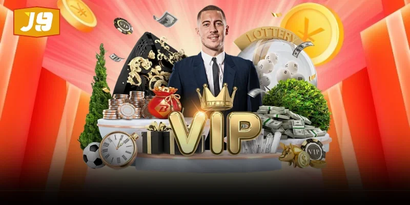 প্ল্যাটফর্ম এবং প্রোগ্রামের বিবরণ